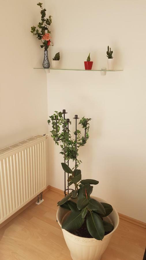 Evi'S Apartment レーゲンスブルク エクステリア 写真